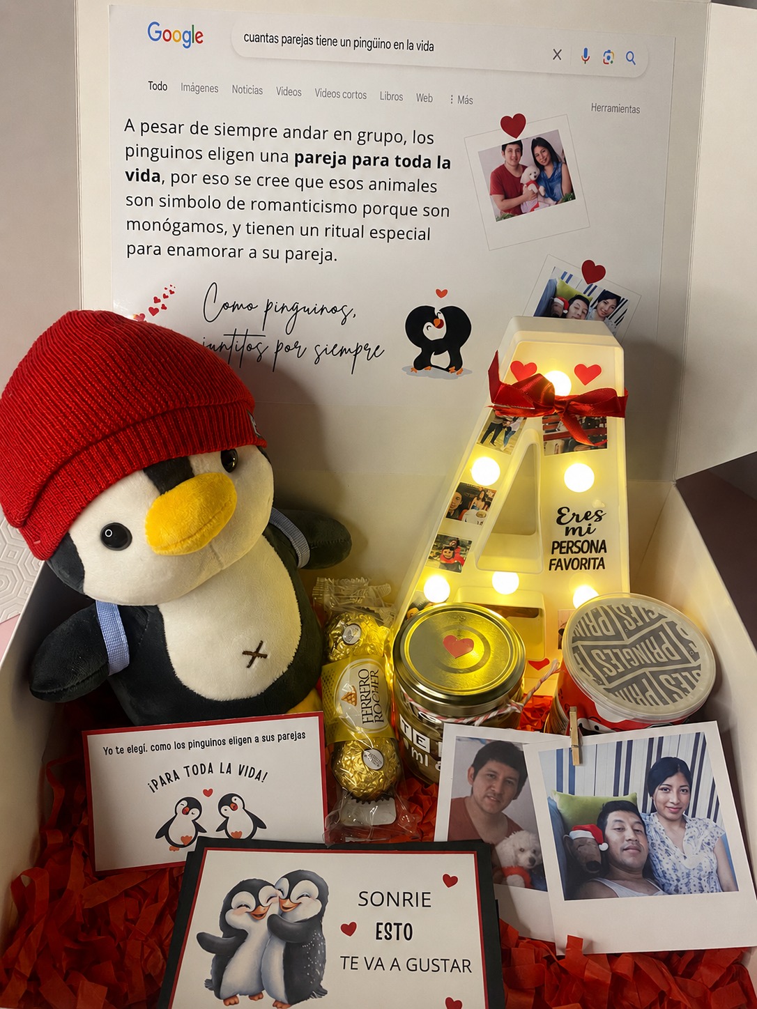 Box  Pinguino 